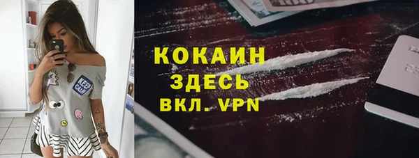эйфоретик Вяземский