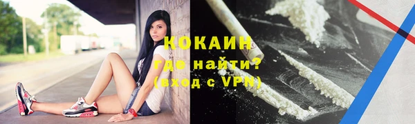 дмт Бородино