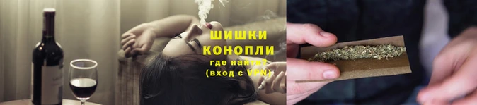 дмт Бородино