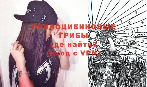2c-b Богородицк