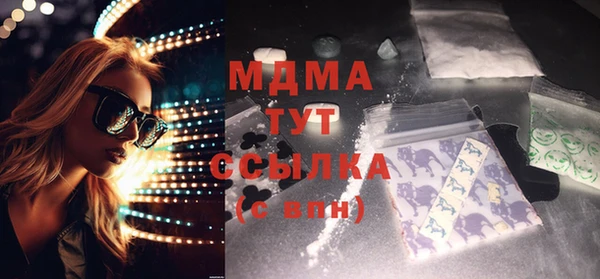 дмт Бородино