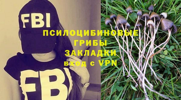 ГАЛЛЮЦИНОГЕННЫЕ ГРИБЫ Бронницы