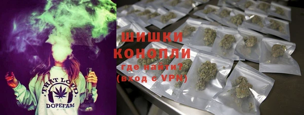 мдпв Вязники
