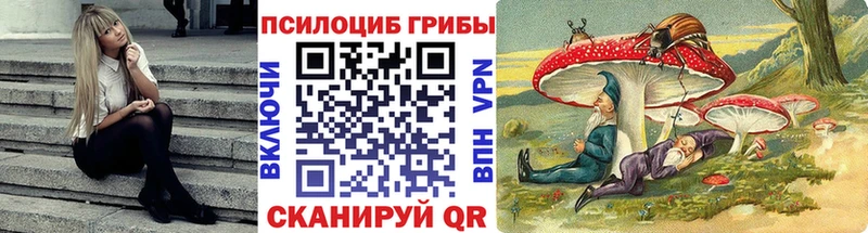 MEGA онион  Мурманск  Галлюциногенные грибы Psilocybe 